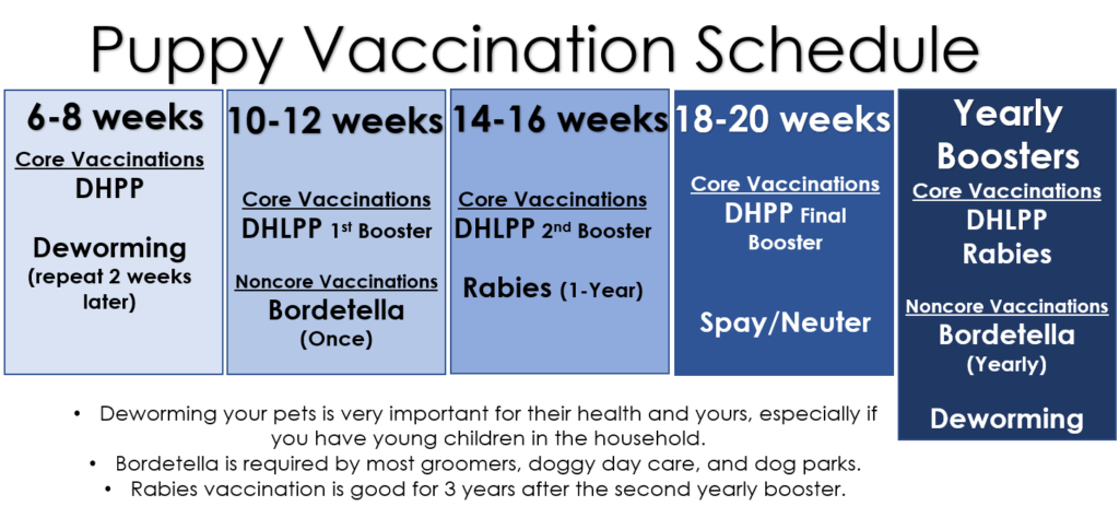 vaccinations-affordable-veterinary-care